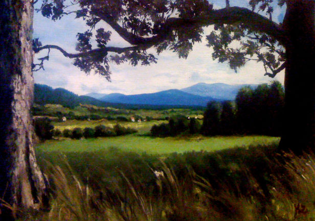 Národní park Šumava (2009)